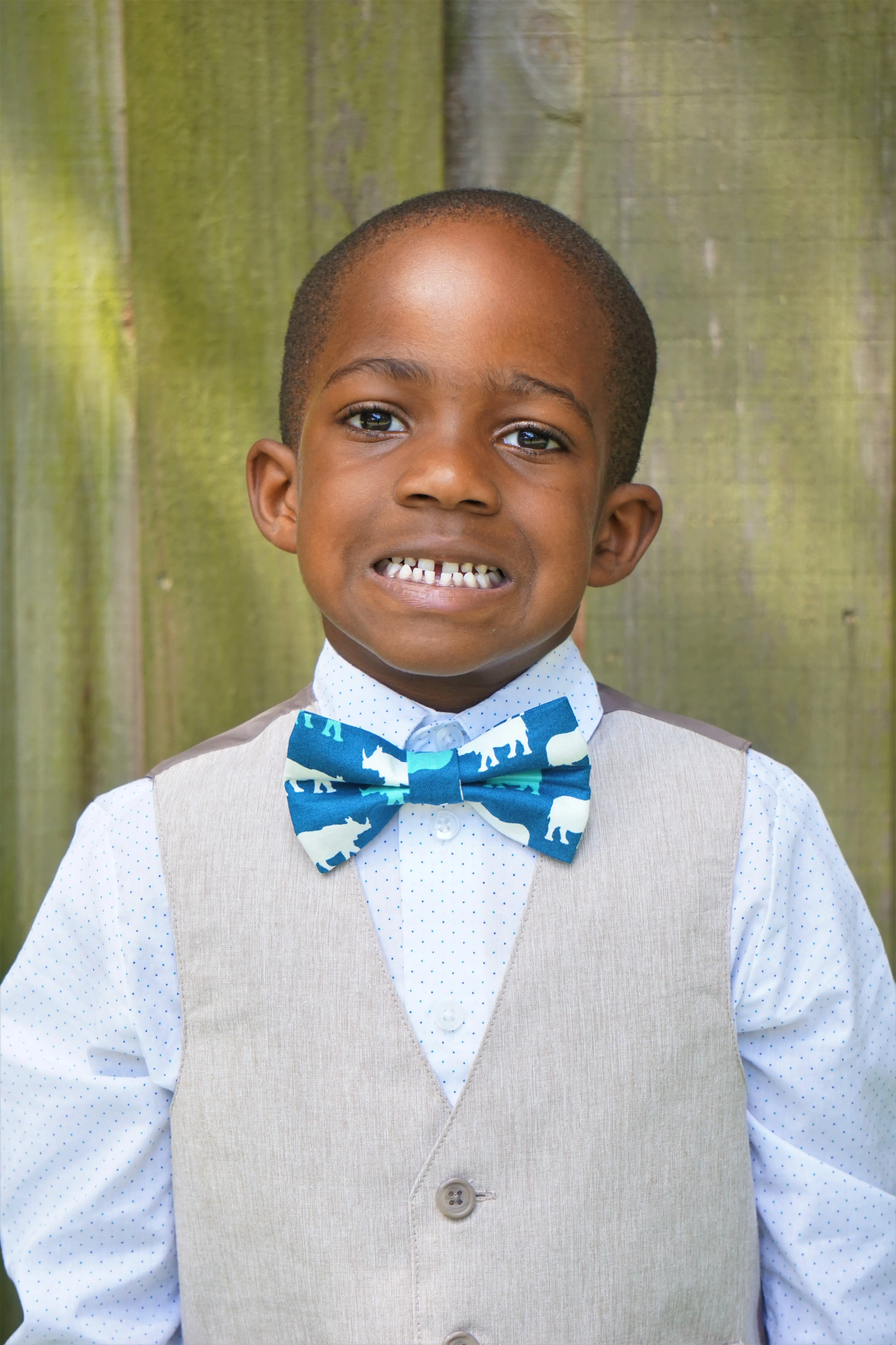 Animals Bow Tie