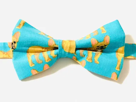 Animals Bow Tie