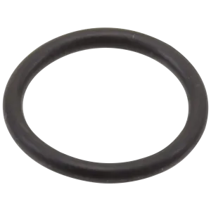 Brizo O-Rings
