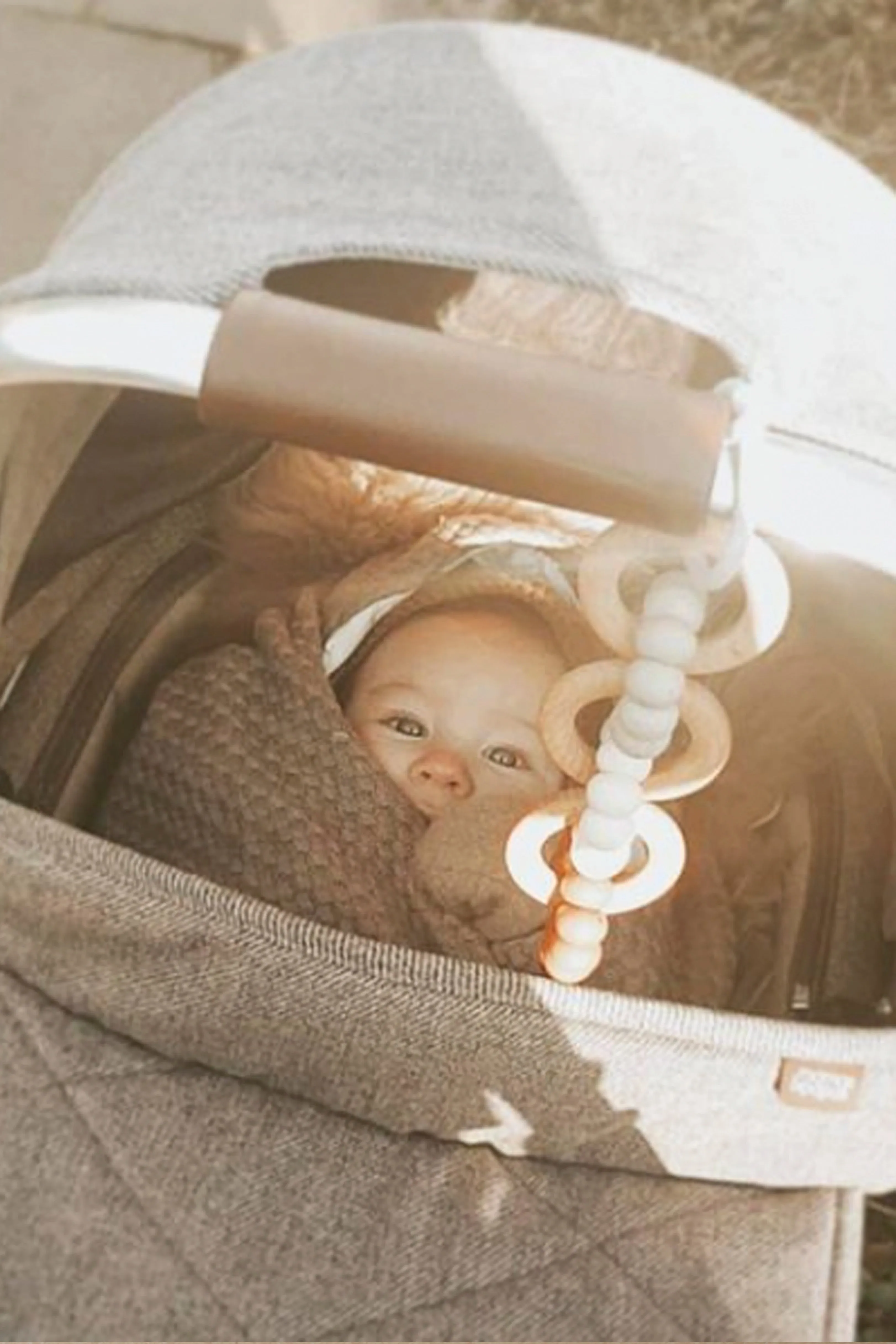 Car Seat Toy - Caspian